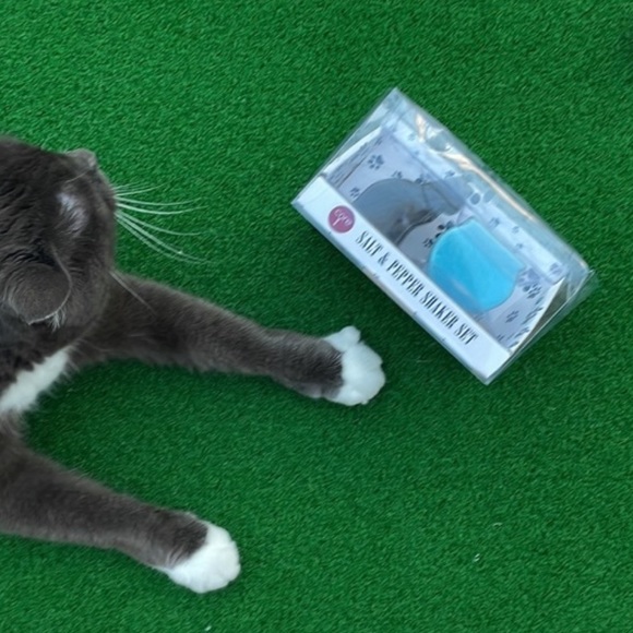 ❣️HOST PICK❣️ Cat and Fish Bowl Salt & Pepper Shakers - Picture 1 of 5